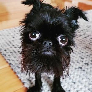 Meet your Posher, This is